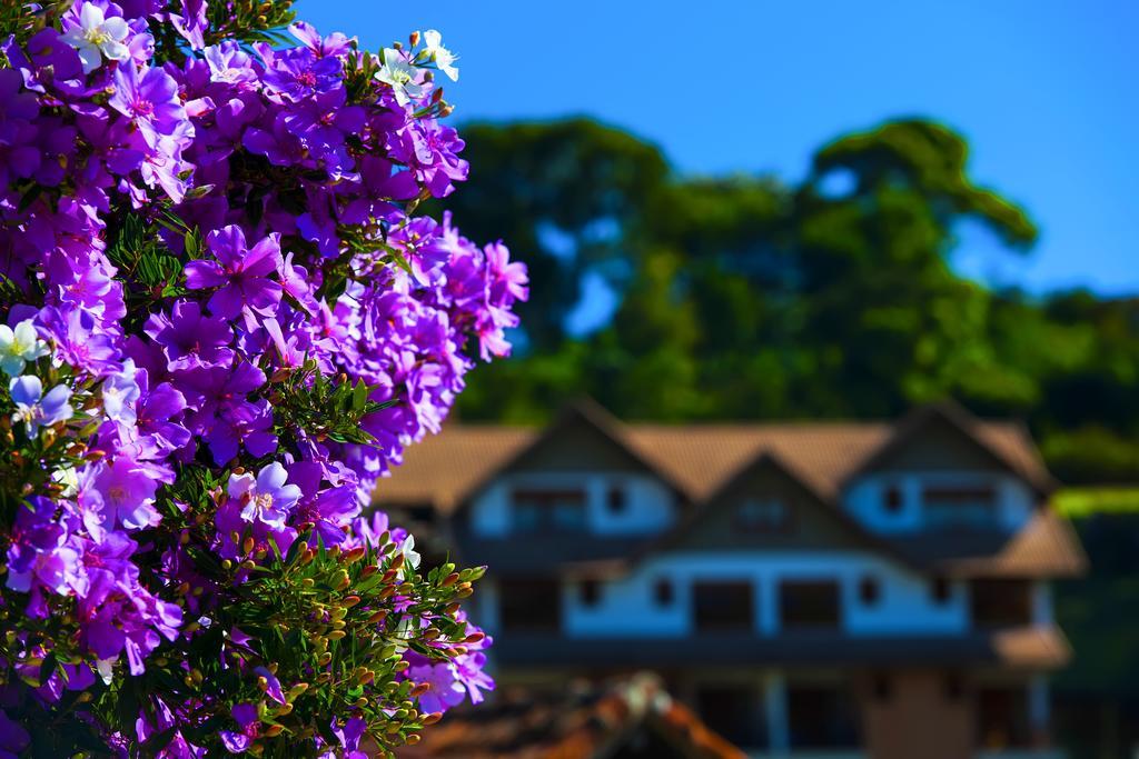 Pousada Dos Pinhos Hotel Pedra Azul  Bagian luar foto